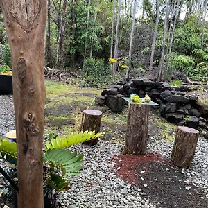 Exotic Garden At Amazing Volcano Fissure Country house Mountain View